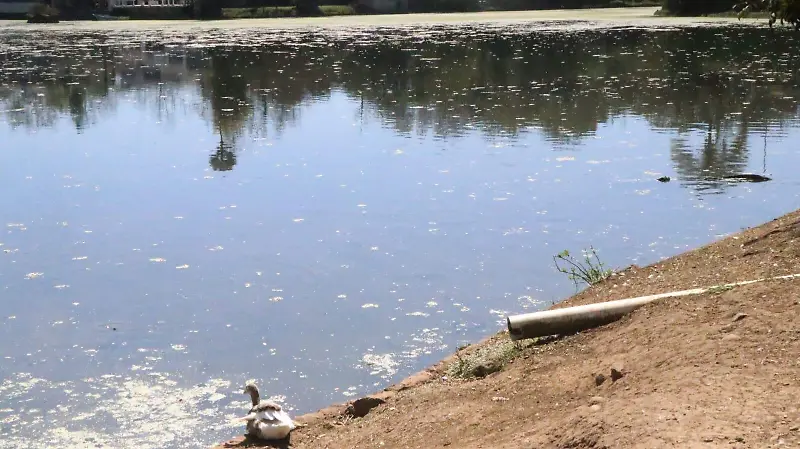 Lago de Las Ánimas en Xalapa
